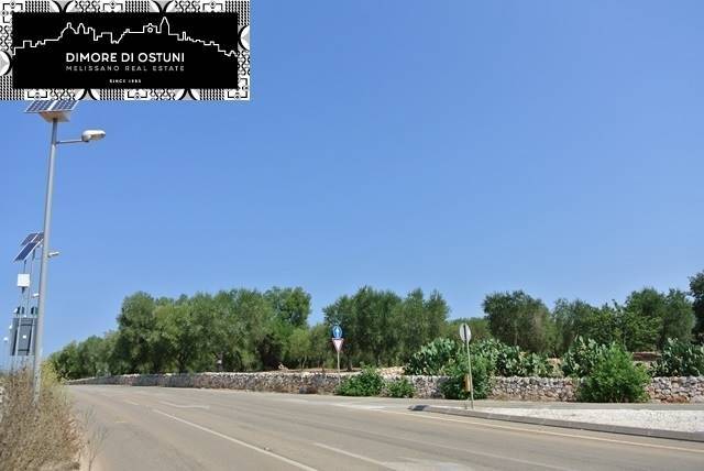 terreno agricolo in vendita ad Ostuni
