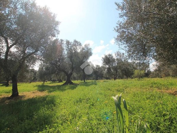 casa indipendente in vendita ad Ostuni