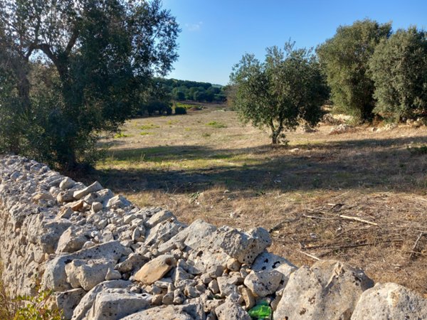 terreno in vendita ad Ostuni