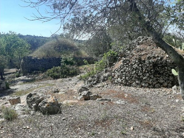 terreno in vendita ad Ostuni