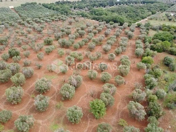 terreno in vendita ad Ostuni