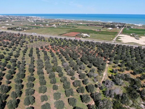 terreno in vendita ad Ostuni