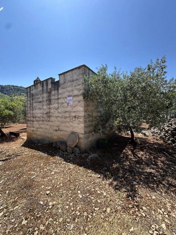 terreno in vendita ad Ostuni