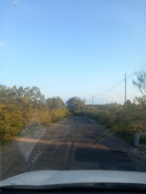 terreno edificabile in vendita ad Ostuni