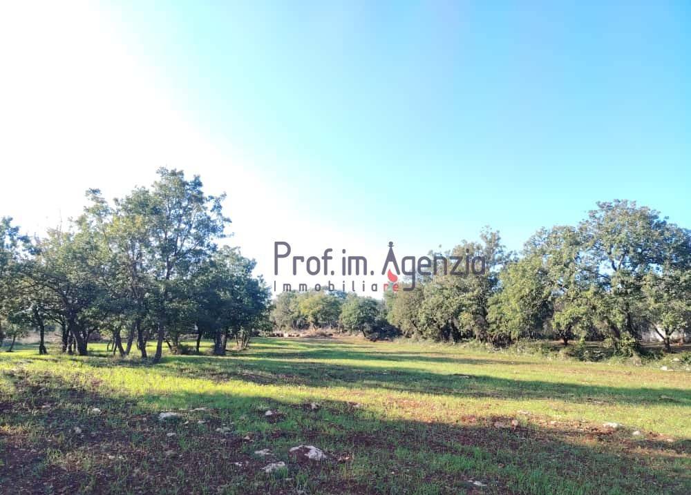 terreno in vendita ad Ostuni