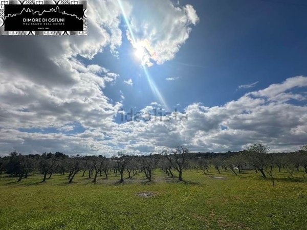 terreno in vendita ad Ostuni