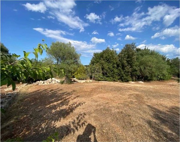 terreno in vendita ad Ostuni
