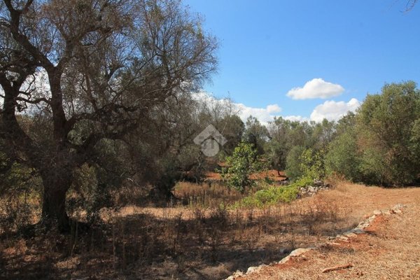 terreno in vendita ad Ostuni