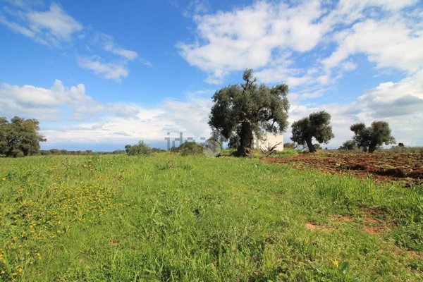 casa indipendente in vendita ad Ostuni in zona Ramunno Secondo