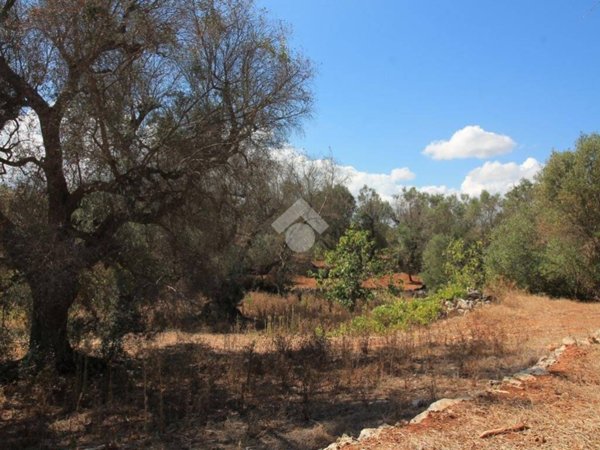 terreno in vendita ad Ostuni