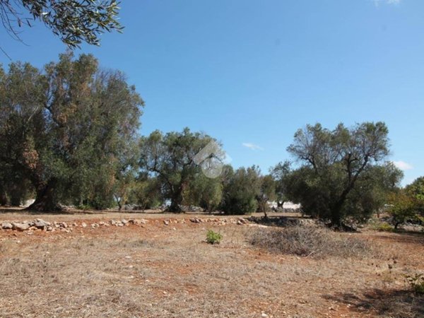 terreno in vendita ad Ostuni