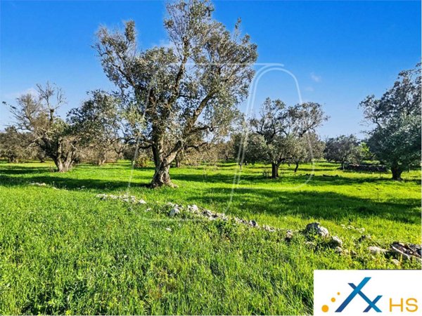 trullo in vendita ad Ostuni