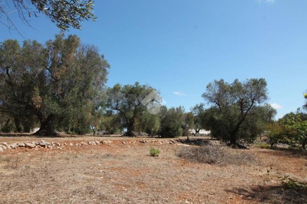 casa indipendente in vendita ad Ostuni