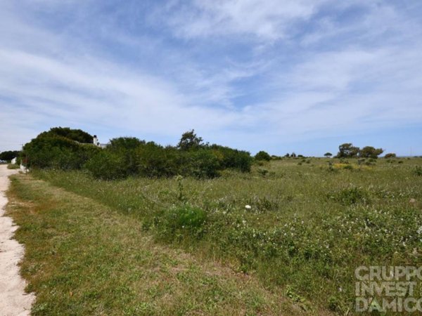 terreno in vendita ad Ostuni