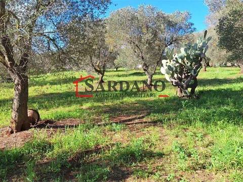 terreno in vendita ad Ostuni
