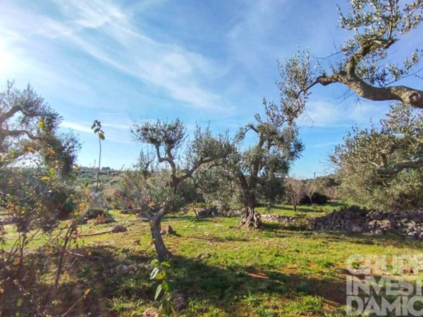 trullo in vendita ad Ostuni