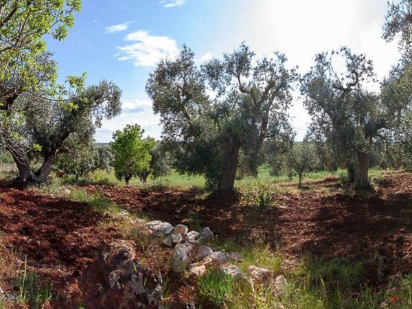 terreno in vendita ad Ostuni