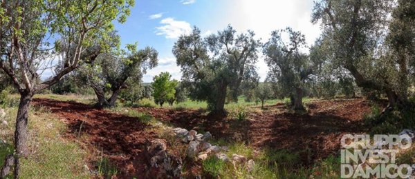 terreno in vendita ad Ostuni