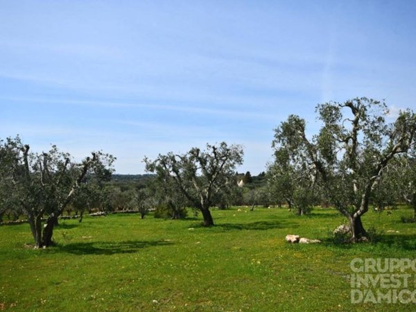 terreno in vendita ad Ostuni