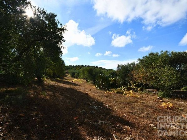 terreno in vendita ad Ostuni