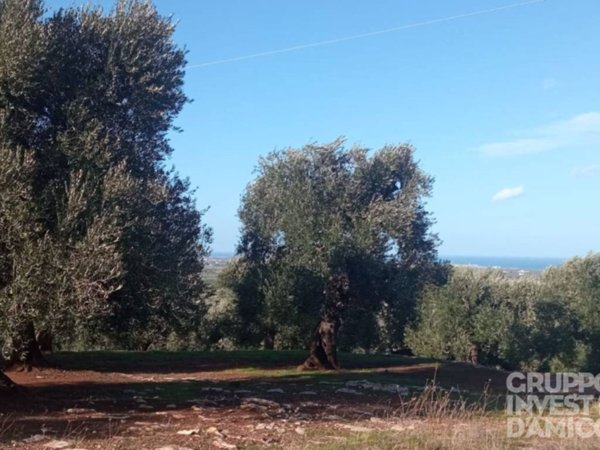 terreno in vendita ad Ostuni