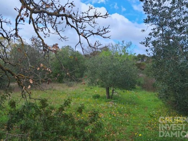 terreno in vendita ad Ostuni