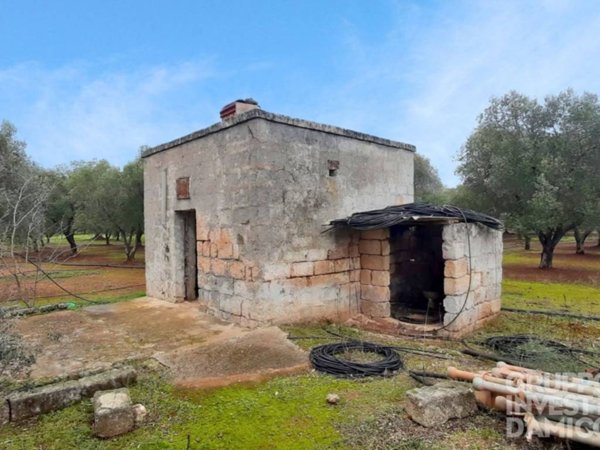 terreno in vendita ad Ostuni