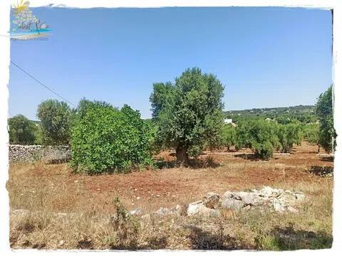 terreno in vendita ad Ostuni