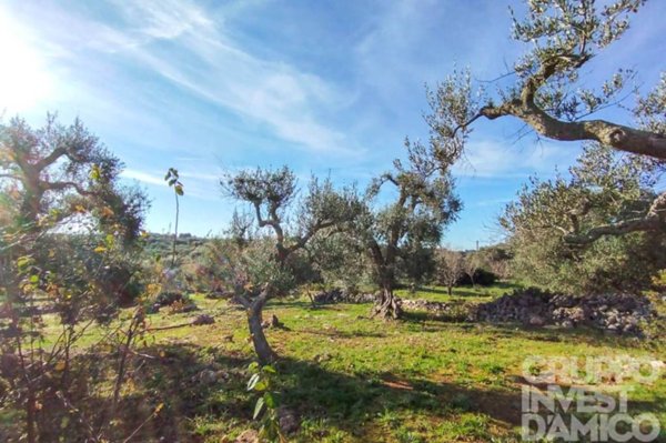 trullo in vendita ad Ostuni