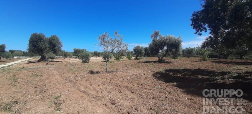 terreno in vendita ad Ostuni