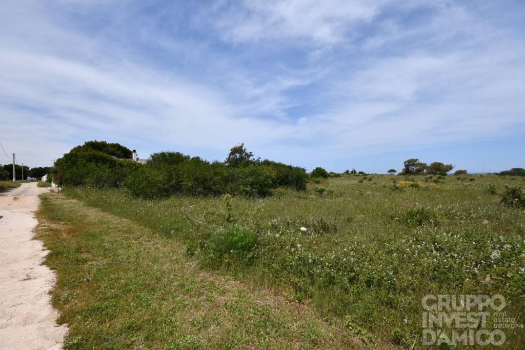 terreno in vendita ad Ostuni