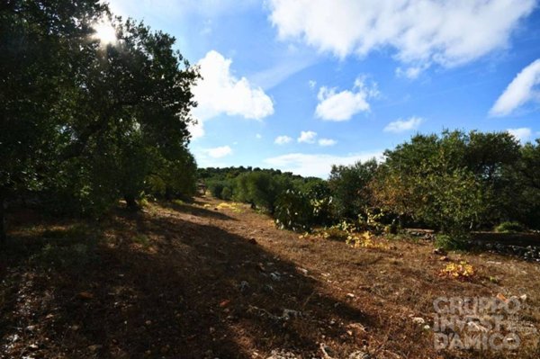 terreno in vendita ad Ostuni