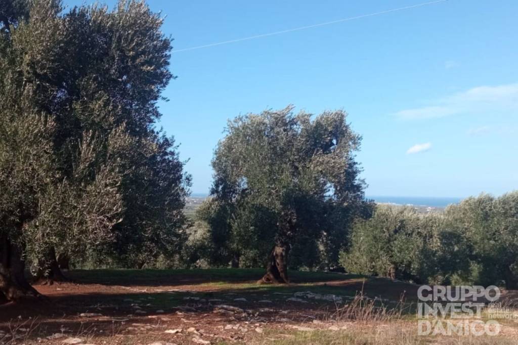 terreno in vendita ad Ostuni