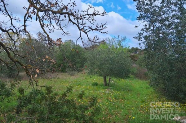 terreno in vendita ad Ostuni