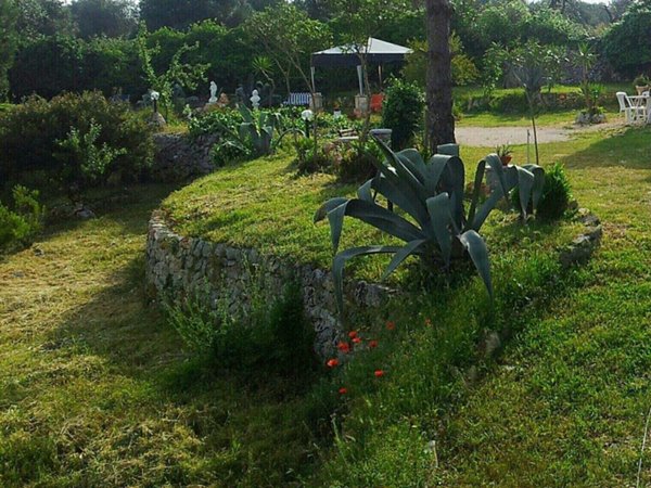 casa indipendente in vendita ad Ostuni