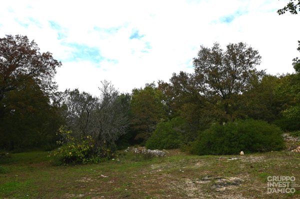 terreno agricolo in vendita ad Ostuni