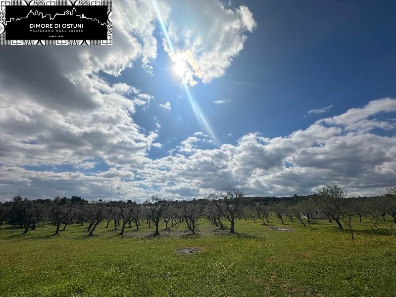 casa indipendente in vendita ad Ostuni