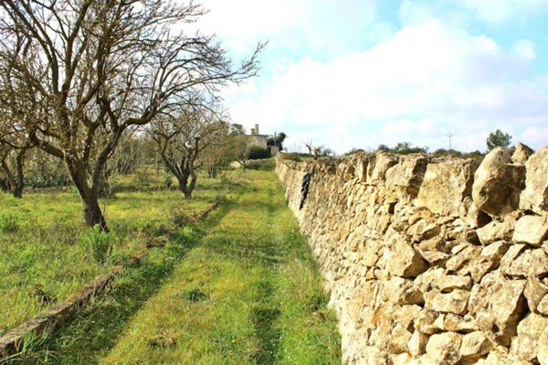 casa indipendente in vendita ad Ostuni in zona Villanova