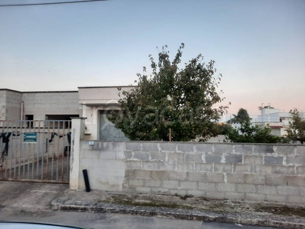 terreno agricolo in vendita a San Donaci