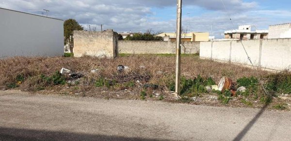 terreno agricolo in vendita a San Donaci