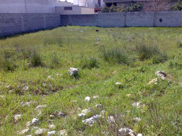 terreno agricolo in vendita a San Donaci