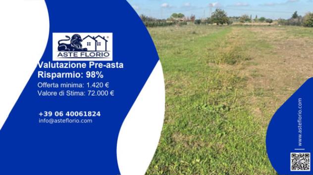 terreno agricolo in vendita a San Donaci