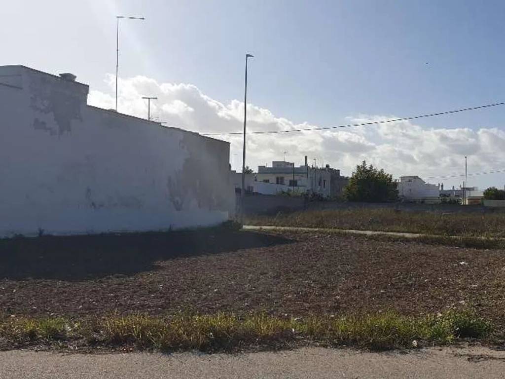 terreno agricolo in vendita a San Donaci