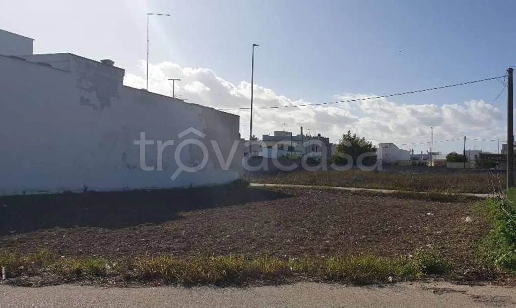 terreno agricolo in vendita a San Donaci