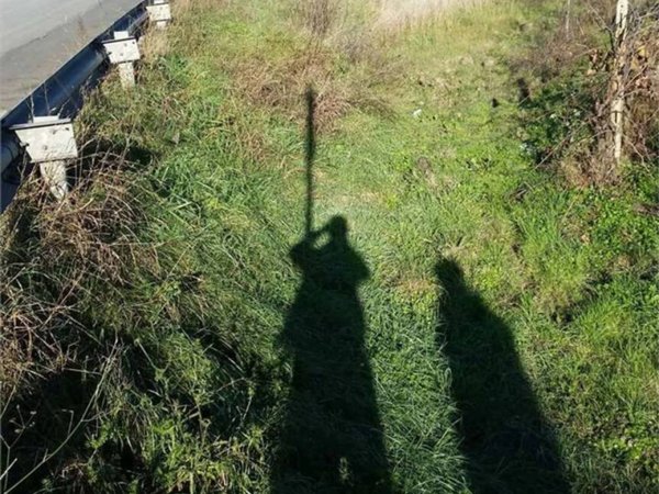 terreno agricolo in vendita a San Donaci