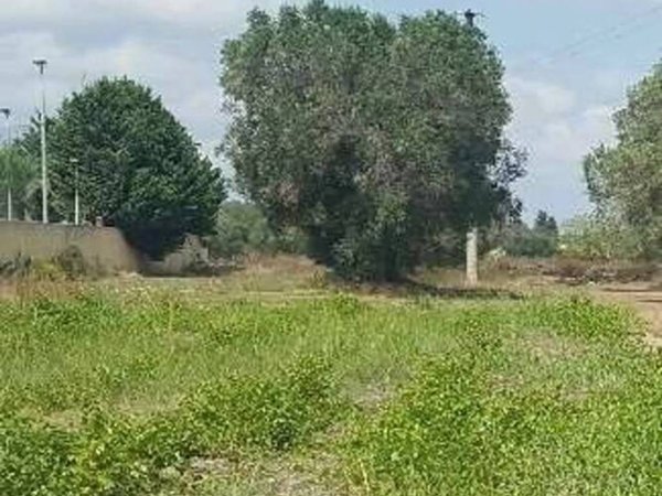 terreno agricolo in vendita a San Donaci