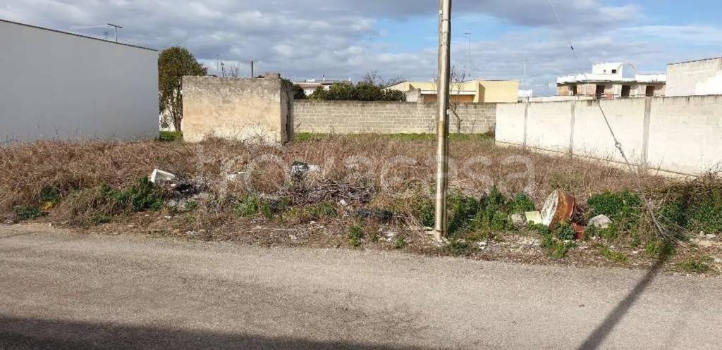 terreno agricolo in vendita a San Donaci