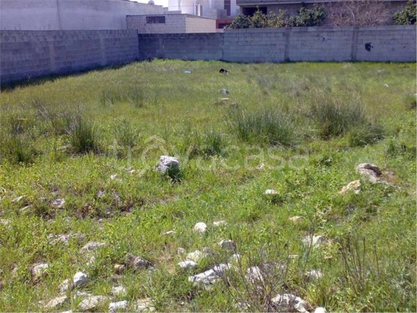 terreno agricolo in vendita a San Donaci
