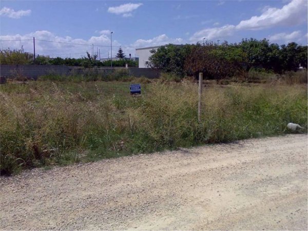 terreno agricolo in vendita a San Donaci