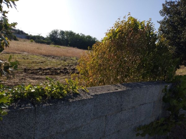 terreno agricolo in vendita a San Donaci